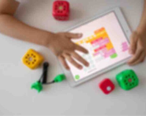 17 masterstudy_placeholder