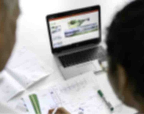 19 masterstudy_placeholder